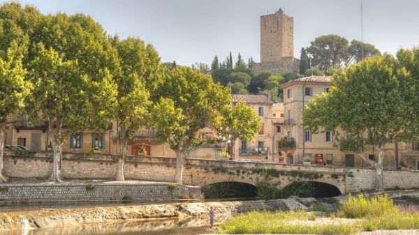 Envie d'un expérience dépaysante en famille ? Cette balade gourmande va vous émerveiller
