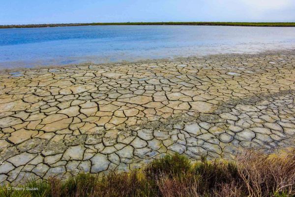 Émilie-Romagne : La mosaïque des cultures