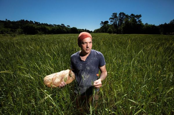 Pour ce paysan boulanger varois, la loi Duplomb montre "le refus de changer de pratiques"