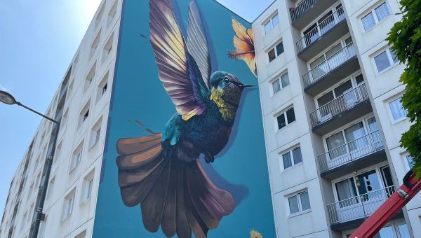 Une immense fresque peinte par le graffeur Blesea sur la façade d'un immeuble à Cherbourg-Octeville