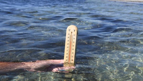 "Des valeurs record aussi tôt dans l'année" : avec la canicule, la température de la Méditerranée va atteindre les 27°C sur les côtes françaises et grimper jusqu'à 28°C en Catalogne