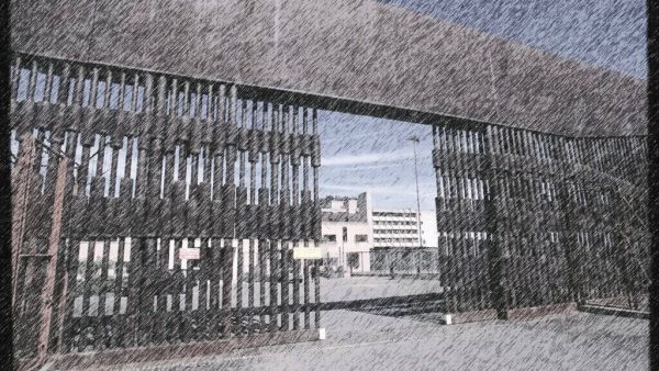«J'ai étudié le crime à la prison de Champ-Dollon, voici mes conseils pour votre diplôme»