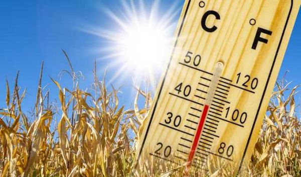 Tunisie: Prévisions météo pour le dimanche 22 juin 2025