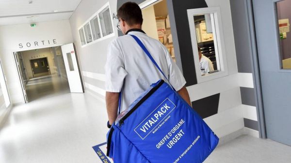 Journée nationale sur le don d'organe : "Leur enfant continue de vivre un peu à travers quelqu'un"