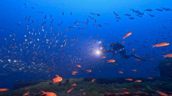 "On a filmé en partie dans la baie de Cavalaire": les épaves au coeur du documentaire du Varois Pascal Lorent, diffusé sur Arte le 4 juillet