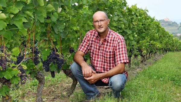 Y'a pas de pépin : Cave Réal au cœur des Côtes du Forez