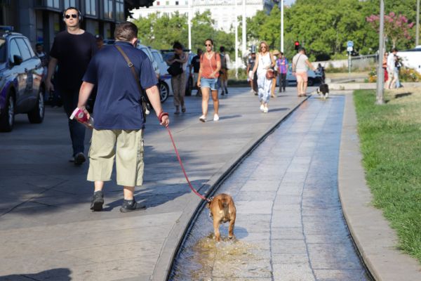 Le Rhône et l'Isère toujours en vigilance orange canicule ce dimanche