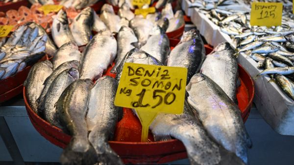 Une croissance extraordinaire de 1.500% depuis 2018: comment la Russie est train de faire de la Turquie un mastodonte du "saumon"