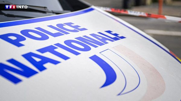 Haute-Savoie : une école primaire visée par un incendie criminel | TF1 INFO
