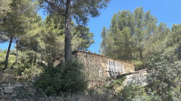 "Ils détruisent le littoral" : des riverains et une association dénoncent des constructions illégales en zone naturelle