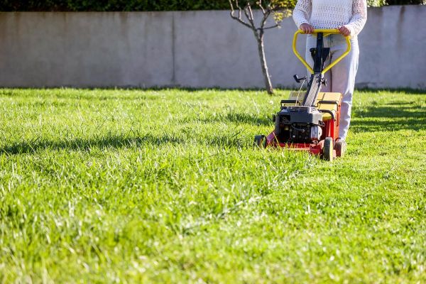 Comment protéger efficacement sa pelouse face aux fortes chaleurs estivales ?