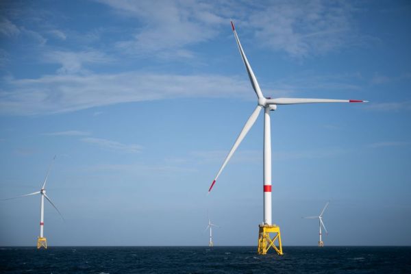 "On a tous bien compris que tout est ficelé." La fronde grandit contre l'implantation de parcs éoliens en mer