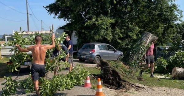 Drôme. « Grosse averse, grêle, vent violent » : dégâts en pagaille après le passage d'une mini-tornade à Lapeyrouse-Mornay