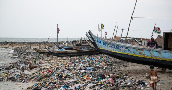 Quand les déchets des géants du textile atterrissent dans des aires protégées du Ghana