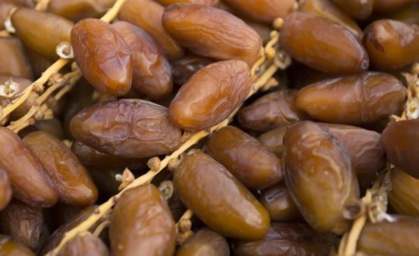Repli de 4,4% des recettes d'exportation des dattes tunisiennes à fin mai 2025