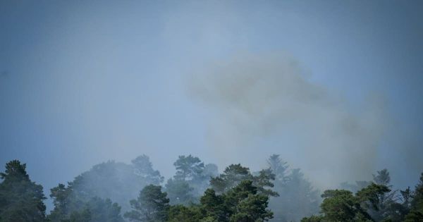 Vosges. Un feu de forêt se déclare près de Laval-sur-Vologne, une soixantaine de pompiers mobilisés