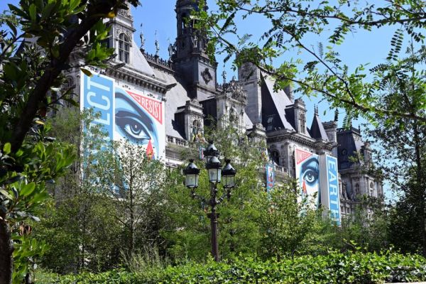 "C'est plus un bosquet" : une troisième "forêt urbaine" sur le parvis de l'hôtel de ville de Paris