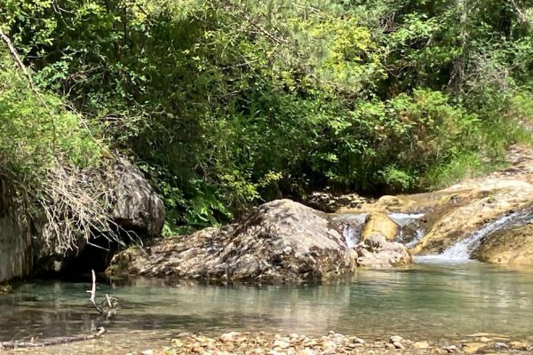 "Nous devons mettre un terme à la multiplication de ces parcs photovoltaïques", un collectif d'habitants s'oppose à un projet dans le Var