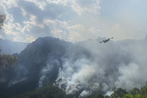 Le feu qui a parcouru 40 hectares dans les massifs de Tova et Bavella est désormais "maîtrisé"