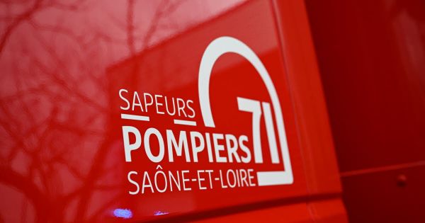 Bresse. Une jument tombe dans un fossé : 12 pompiers la sorte de la boue