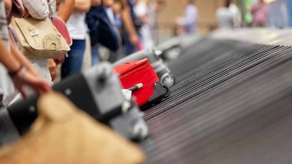 Régularisation du commerce du « cabas » en Algérie : Tebboune fixe une date