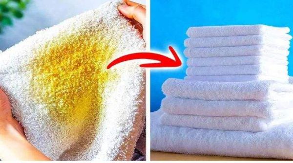 Sans Javel Ni Bicarbonate, Voici l'Astuce Naturelle pour Blanchir les Torchons et Serviettes Jaunis.