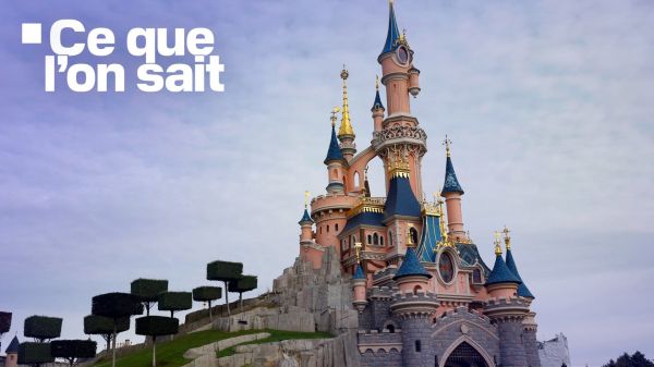 Escroquerie, garde à vue... Ce que l'on sait de la tentative de faux mariage, impliquant une fillette de 9 ans, à Disneyland Paris
