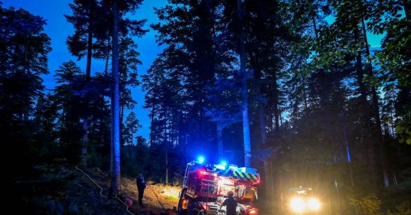 Vosges. Un incendie en plein cœur de la forêt de Grandvillers