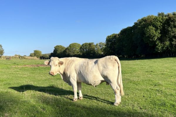 Météo. Quel temps pour ce mardi 24 juin dans les Hauts-de-France ?