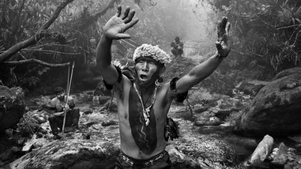 Expo photo: Sebastião Salgado nous offre un voyage mystique au cœur de la forêt amazonienne.
