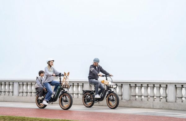 Vélo électrique : l'essor fulgurant d'un mode de transport qui change la France... en bien ou en mal ?