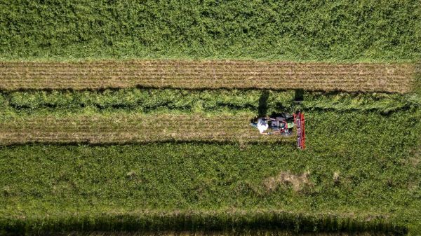 Rendement, climat... Un essai suisse de référence confirme l'efficacité de l'agriculture biologique