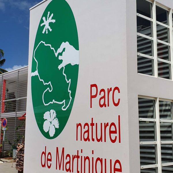 Louis Boutrin avocat et élu à la Collectivité Territoriale de Martinique comparaît en Guadeloupe