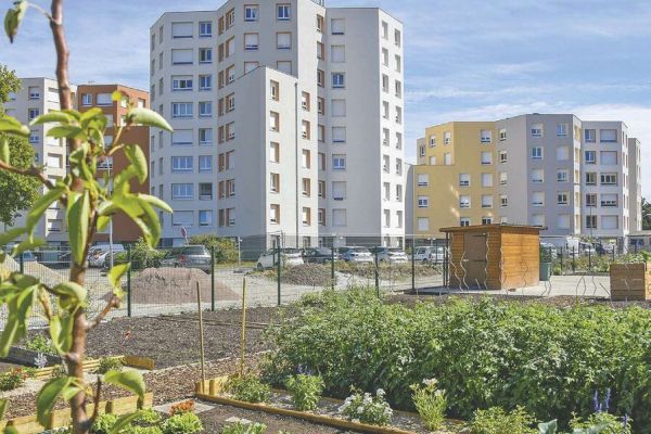 Strasbourg : réaménagement des espaces extérieurs pour optimiser la qualité de vie urbaine et la gestion des eaux pluviales