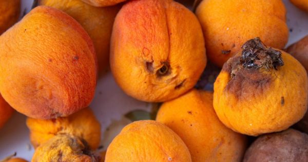 Fraises, abricots, pêches... Voici l'erreur qui fait pourrir les fruits plus vite au frigo