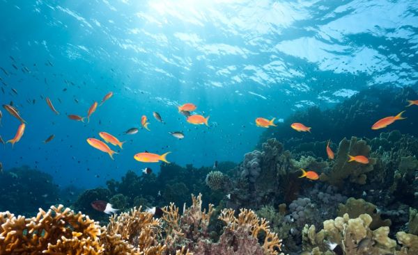 Comores: L'économie bleue peut ouvrir la voie à une croissance plus inclusive et durable