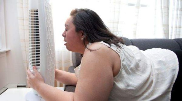 Rafraîchir Son logement Sans Climatisateur : 10 Astuces Écolos et Efficaces.