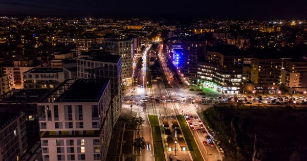 Pollution lumineuse : des chercheurs ont identifié des solutions pour la réduire et préserver la biodiversité