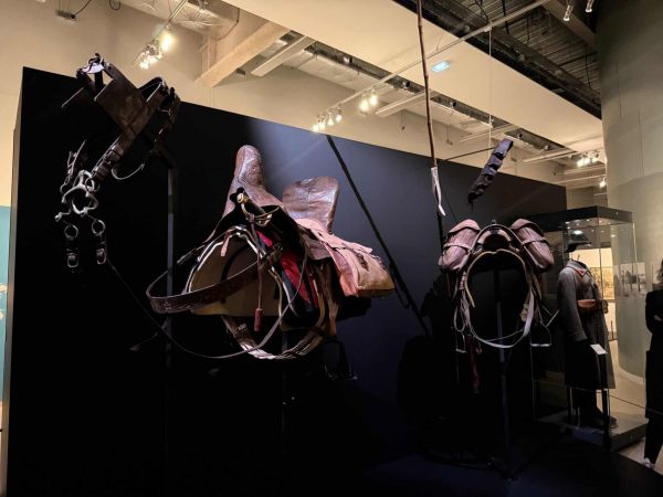 « Des chevaux et des hommes », au musée de la Grande Guerre