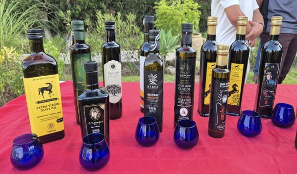 L’huile d’olive tunisienne célébrée à travers une cérémonie de remise des prix à la résidence de l’Ambassadeur de Suisse en Tunisie 