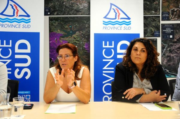 Sud Pro revient avec 480 millions de francs