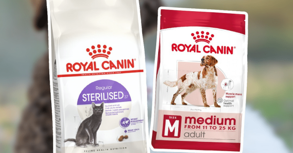 1 an d’alimentation Royal Canin pour chiot ou chaton à remporter