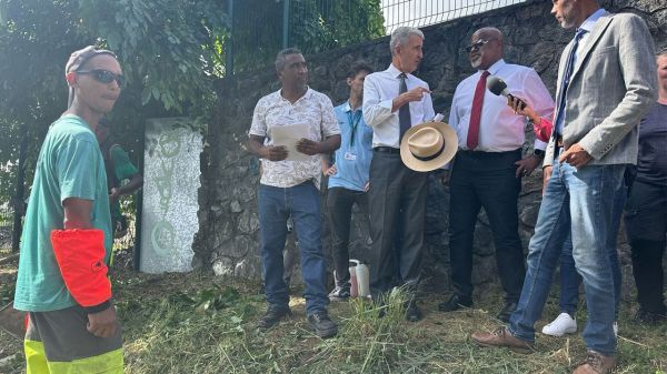 L'épidémie de chikungunya est officiellement terminée à La Réunion