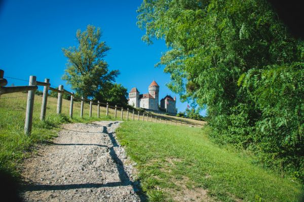 Campagnes françaises: entre dynamisme local et oubli d'État