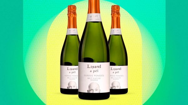 Le vin de la semaine : un effervescent bio frais et léger