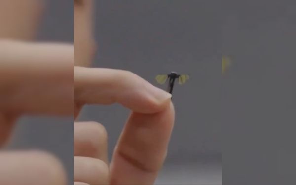 Ce faux moustique conçu en Chine est un drone espion prêt à tout infiltrer