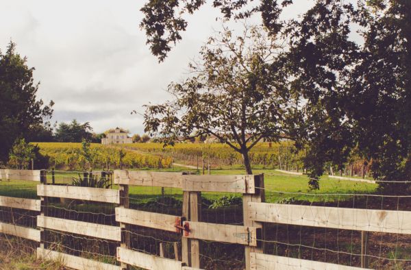 Dix Hectares : la beauté selon Montrose
