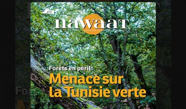 Forêts en péril, Menace sur la Tunisie verte : thème du 16e numéro de Nawaat Magazine