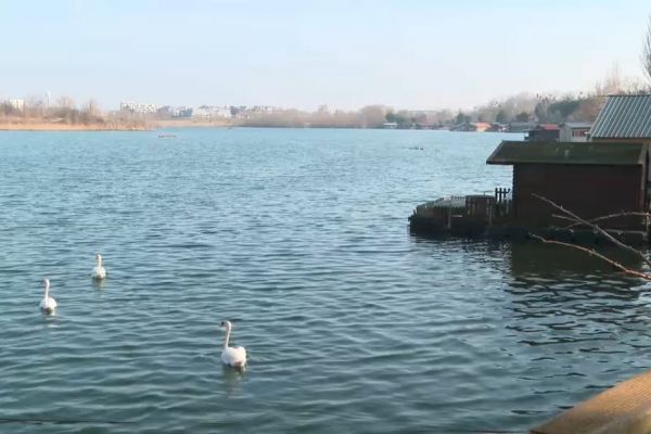 Chalets des étangs de la Galiote : "On ne partira pas, on va devenir une ZAD", la fronde des propriétaires face à l'expulsion annoncée