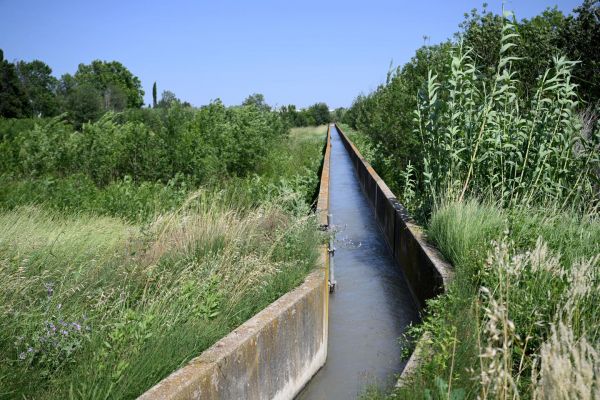 Loi Duplomb : des régies publiques de l'eau alertent sur les risques pour l'environnement et la santé